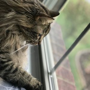 Meet your Posher, Hunter